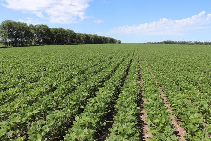 Property in Sargent County, North Dakota