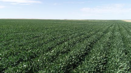 Property in Clark County, South Dakota