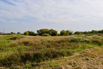 Property in Atascosa County, Texas