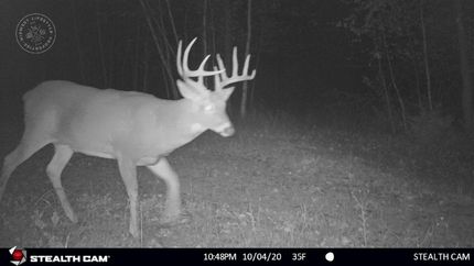 Property in Monroe County, Wisconsin