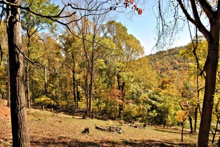Property in Floyd County, Virginia