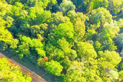 Property in Polk County, Texas