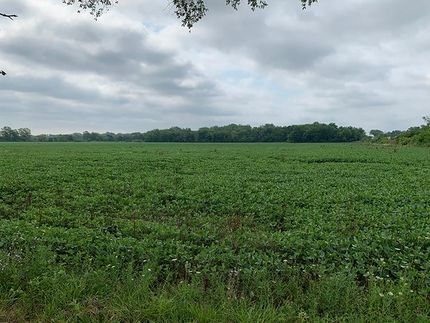 Property in Cook County, Illinois