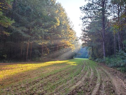 Property in Greene County, Alabama