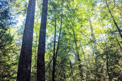 Property in Essex County, New York