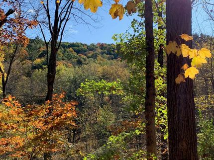 Property in Monroe County, Wisconsin