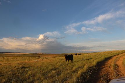 Property in Yellowstone County, Montana
