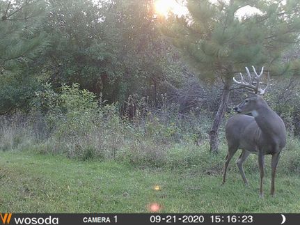 Property in Green County, Wisconsin