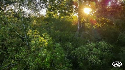 Property in Iberville Parish, Louisiana