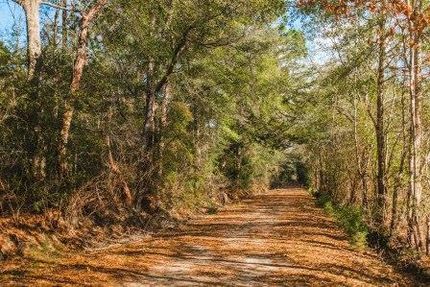Property in Bulloch County, Georgia