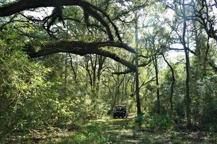 Property in Harris County, Texas