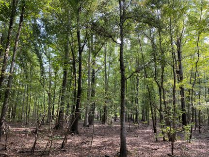 Property in Dougherty County, Georgia