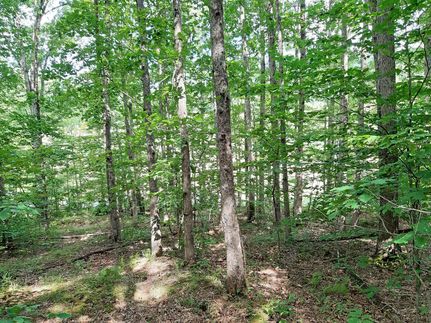 Property in Greenbrier County, West Virginia