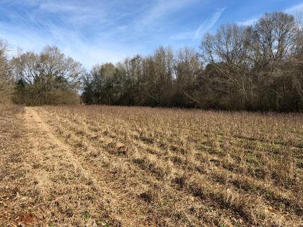 Property in Conecuh County, Alabama
