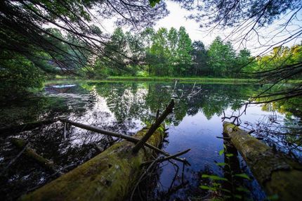 Property in Transylvania County, North Carolina