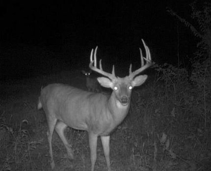 Property in Autauga County, Alabama