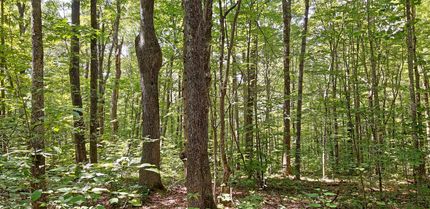 Property in Greenbrier County, West Virginia