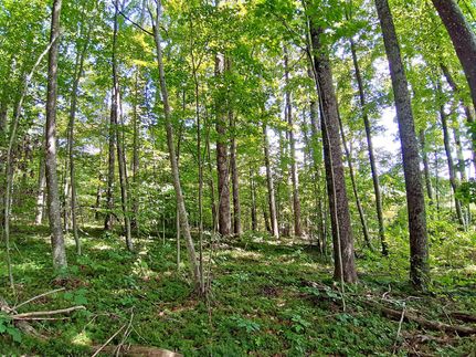 Property in Greenbrier County, West Virginia