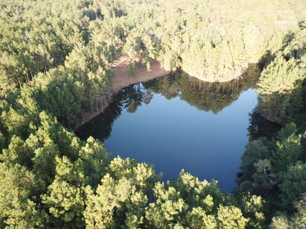 Property in Geneva County, Alabama