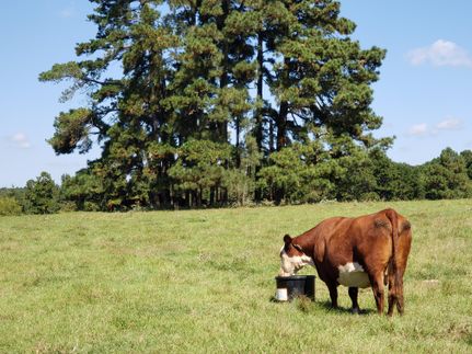 Property in Red River County, Texas