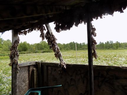 Property in Mecosta County, Michigan