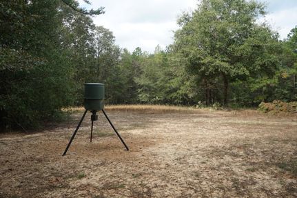 Property in Pike County, Alabama