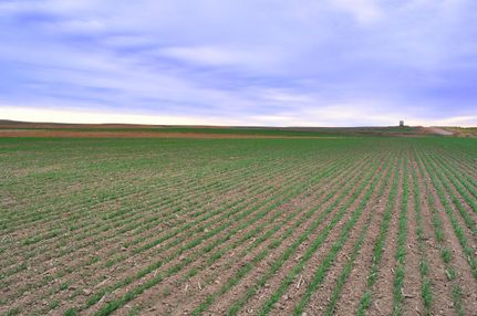 Property in Ellis County, Kansas