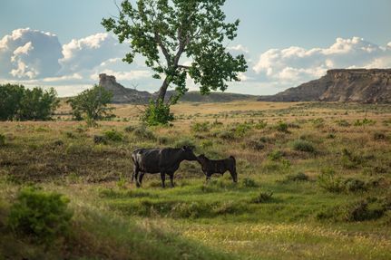 Property in Musselshell County, Montana