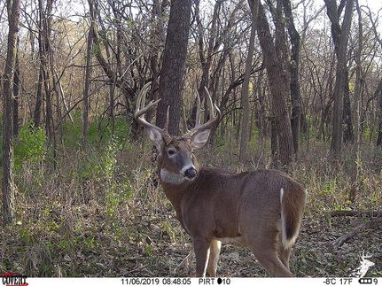 Property in Jefferson County, Kansas