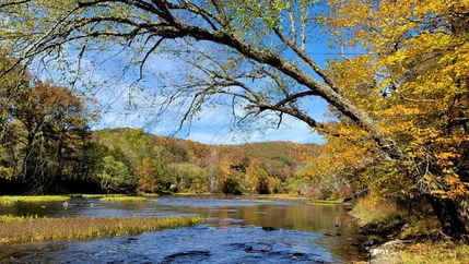 Property in Pocahontas County, West Virginia