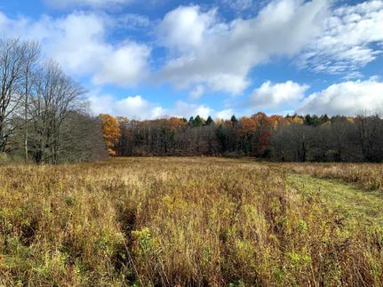 Property in Tioga County, New York