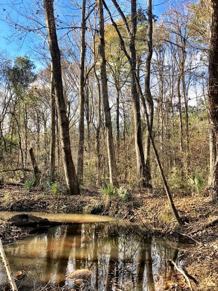 Property in Twiggs County, Georgia