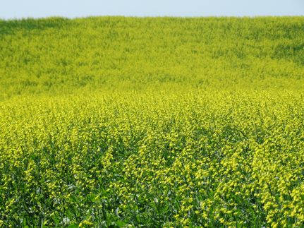 Property in Ramsey County, North Dakota