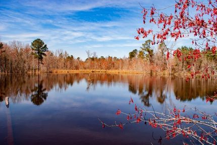 Property in Jenkins County, Georgia