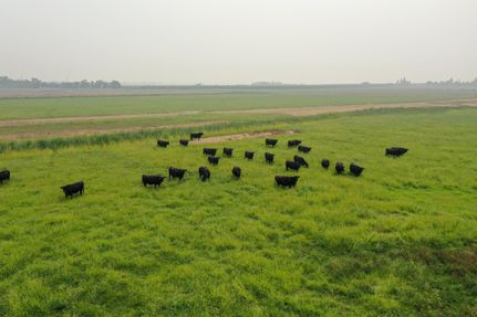 Property in Colusa County, California