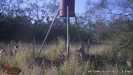 Property in Hidalgo County, Texas