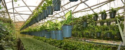 Property in Orange County, Florida