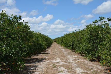 Property in Indian River County, Florida