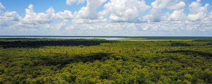 Property in Volusia County, Florida