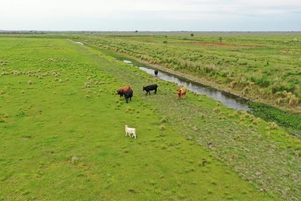 Property in Highlands County, Florida