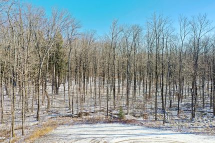 Property in Taylor County, Wisconsin