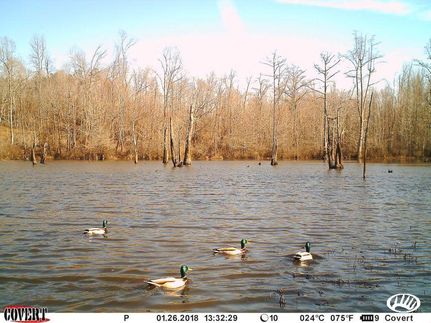 Property in McNairy County, Tennessee