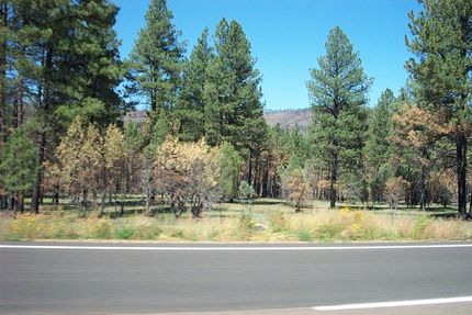 Property in Apache County, Arizona