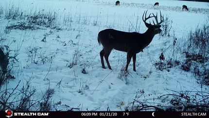 Property in Juneau County, Wisconsin