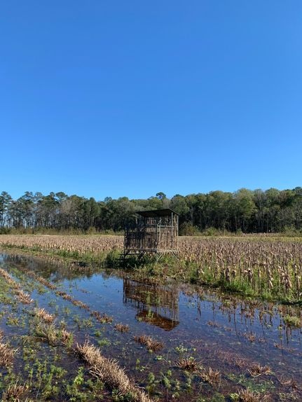 Property in Lee County, South Carolina