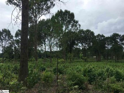 Property for sale in Laurens County, South Carolina