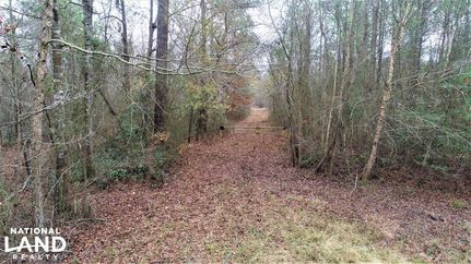 Property in Jones County, North Carolina