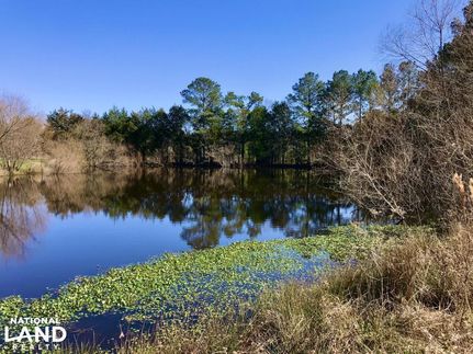 Property in Edgefield County, South Carolina