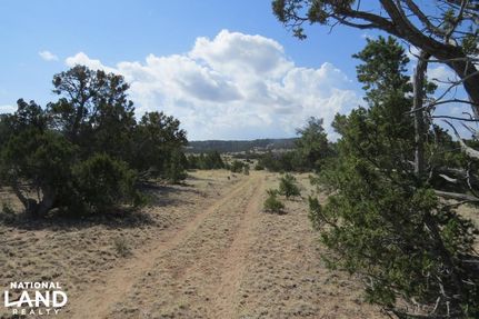 Property in Catron County, New Mexico