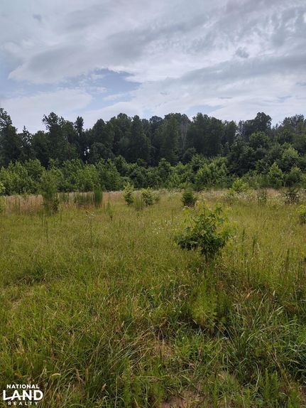 Property in Guilford County, North Carolina